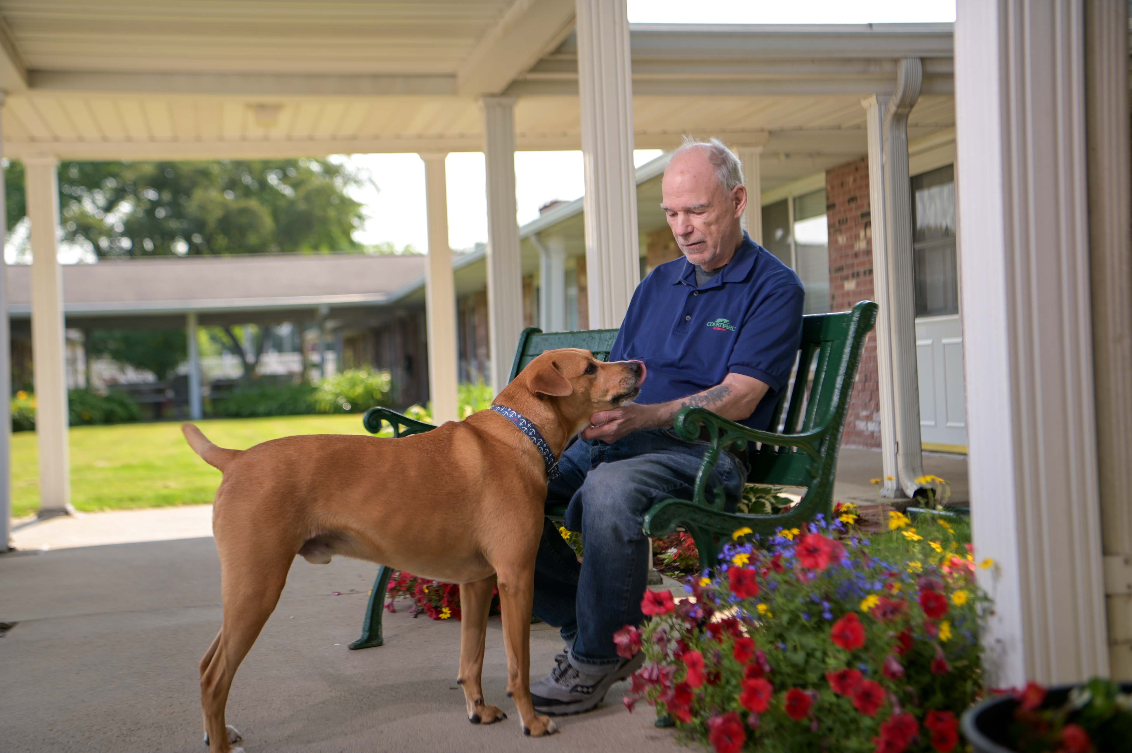 pet friendly maryhaven