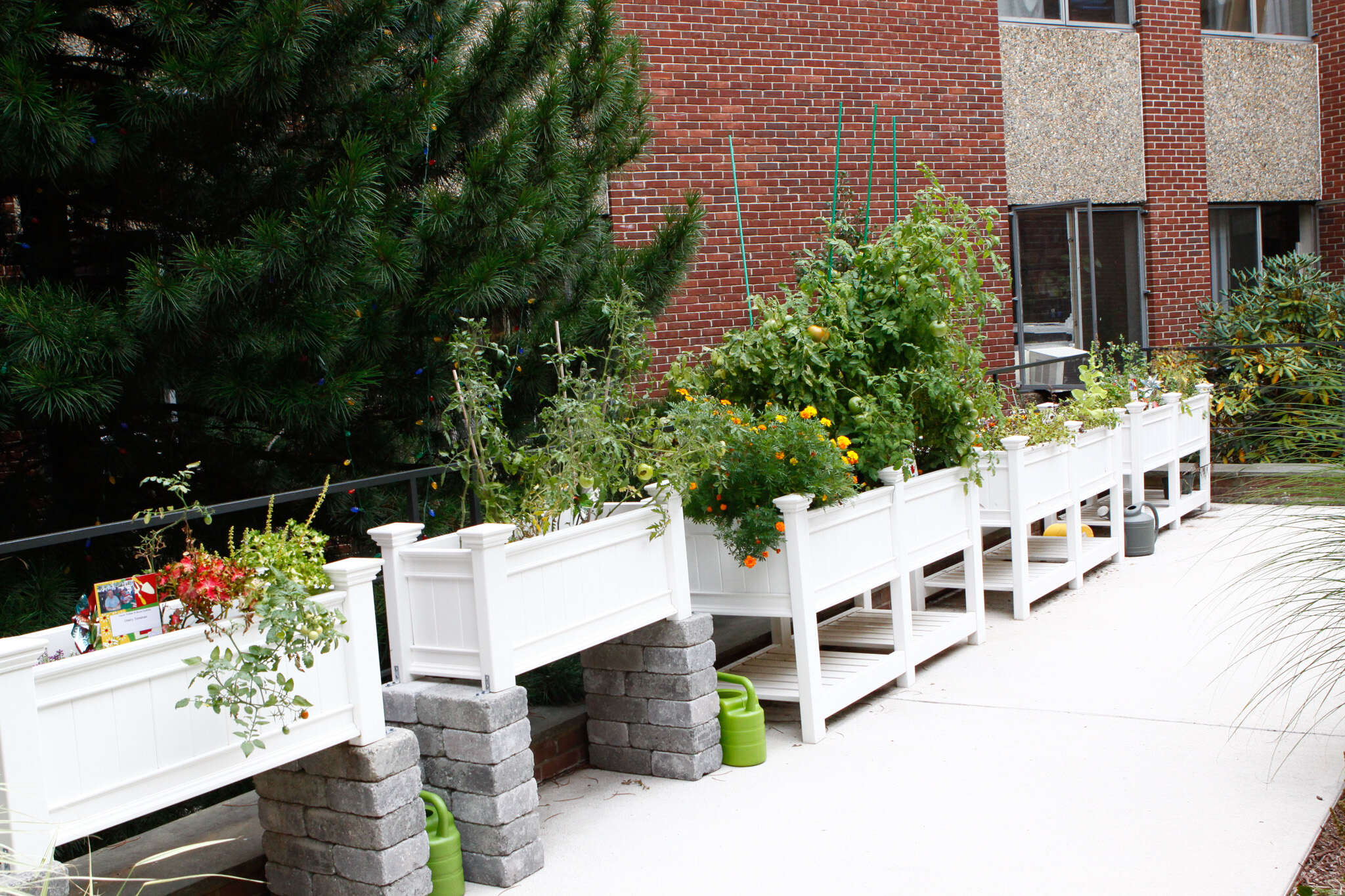 saint mary home exterior