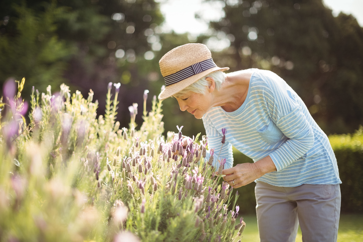 Female older adult tending to flowers
