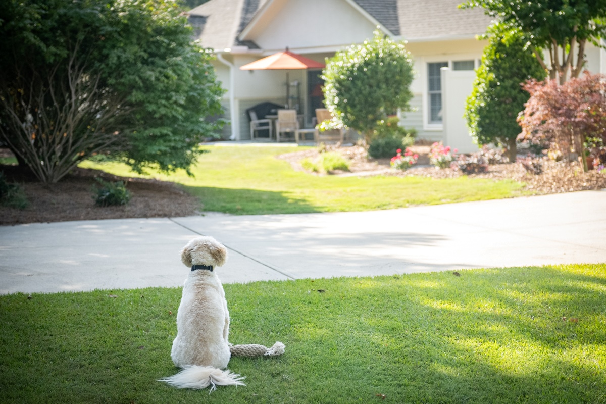 pet friendly residence at St Joseph of the Pines
